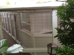 Alder House Cat Hotel