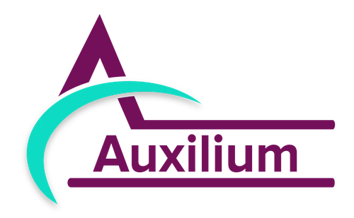 Auxilium Services Ltd