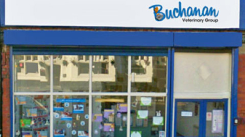 Buchanan Veterinary Group