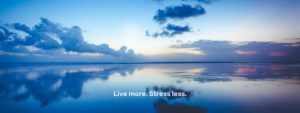 Financial Wellness Group