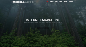 Gorilla Marketing