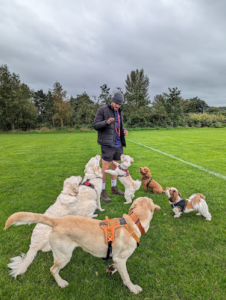 Isla and Friends