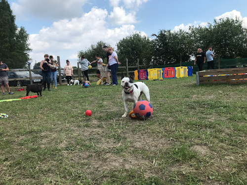 Keepers Boarding Kennels