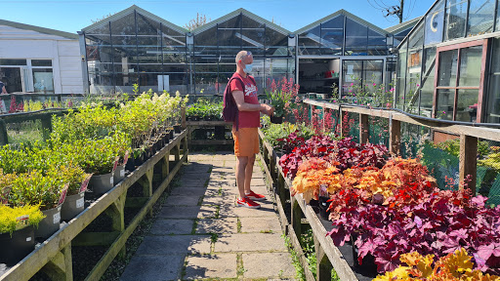 Linnyshaw Garden Centre