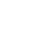 Ply