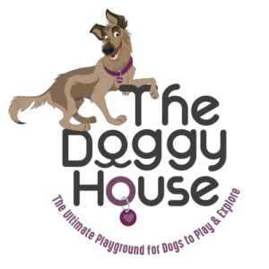 The Doggy House