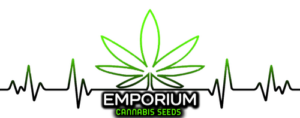 Vape & Seedbank