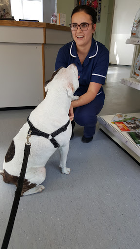 Yew Tree Veterinary Surgery